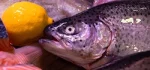 L'ambiance des Halles - poisson et citron